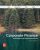 Corporate Finance Core Principles and Applications 7th Edition By Stephen Ross