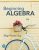 Beginning Algebra 8th Edition Elayn Martin-Gay-Test Bank