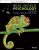 Real World Psychology, 3rd Edition by Catherine A. Sanderson, Karen Huffman Test Bank