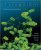 Microbiology Human Perspective 6th Edition by Nester Anderson Roberts-Test Bank