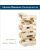 Human Resource Development 6th Edition By Jon M. Werner-Test Bank