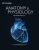 Anatomy & Physiology , 1st Edition Elizabeth Co – TESTBANK
