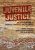 Juvenile Justice An Introduction to Process, Practice, and Research 1st Edition by James Burfeind