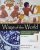 Ways of the World A Brief Global History with Sources (Volume 1), 5th Edition Robert Strayer, Eric Nelson – Test Bank