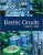Electric Circuits 1st Edition by Kang – Test Bank