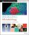 Visualizing Microbiology by Rodney P. Anderson, Linda Young – Test Bank