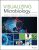 Visualizing Microbiology 2nd edition Anderson – Test Bank