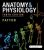 Anatomy & Physiology, 10th Edition Patton