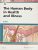 Human Body in Health and Illness 6th Edition Herlihy Test Bank