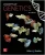 Concepts of Genetics 3Rd Edition By Robert – Test Bank