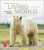 Essentials of The Living World 5Th Edition By George Johnson  – Test Bank