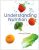 Understanding Nutrition 12th Edition By Whitney -Test Bank