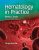 Hematology in Practice 3rd Edition Betty Ciesla