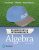 Elementary & Intermediate Algebra 4th Edition Michael Sullivan-Test Bank