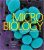 Microbiology, An Introduction 12th edition by Tortora-Test Bank