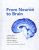 From Neuron to Brain 6th Edition Martin, Brown, Diamond