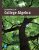 Essentials of College Algebra 12th Edition Margaret L. Lial-Test Bank