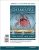 Fundamentals of General Organic And Biological Chemistry 8th Edition By John E McMurry-Test Bank