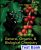 General Organic And Biological Chemistry 2nd Edition By Janice Gorzynski Smith-Test Bank